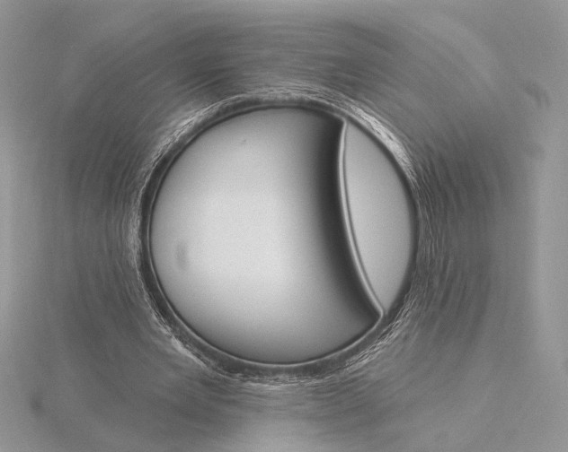 X0000116150485200912071307