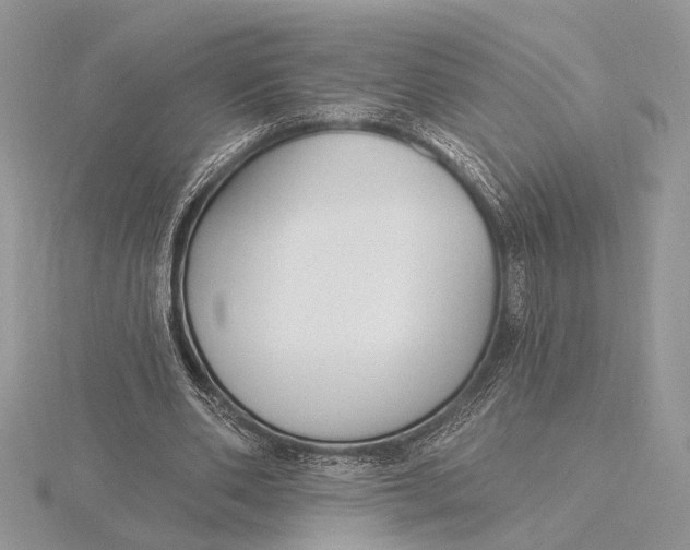 X0000116150486200912071307