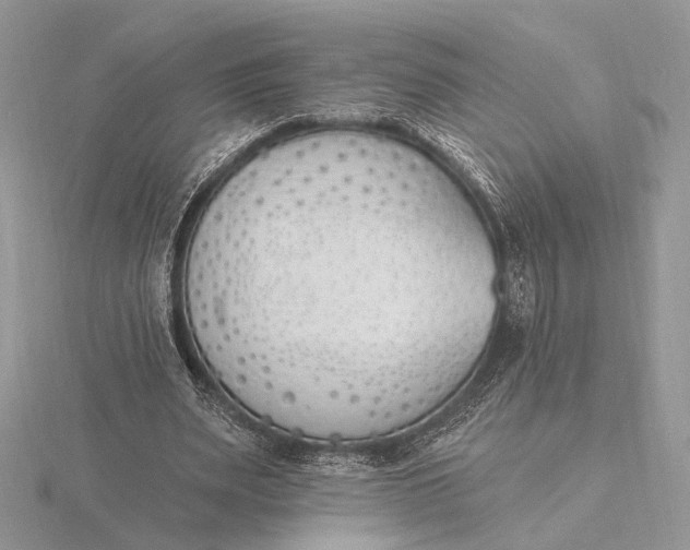 X0000116150487200912071307