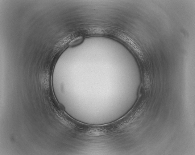 X0000116150489200912071307