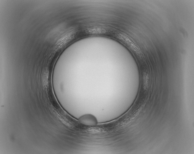 X0000116150490200912071307