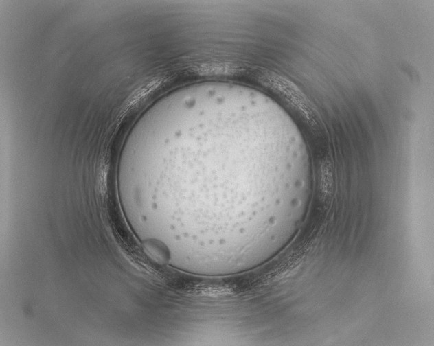 X0000116150491200912071307