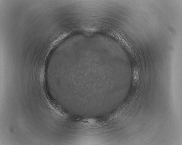 X0000116150492200912071307