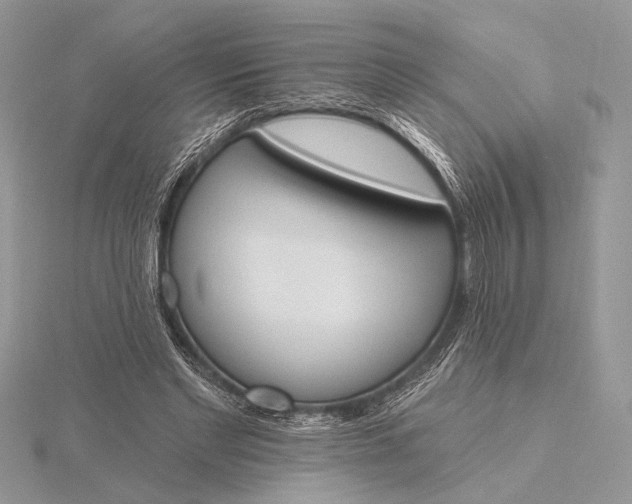 X0000116150493200912071307