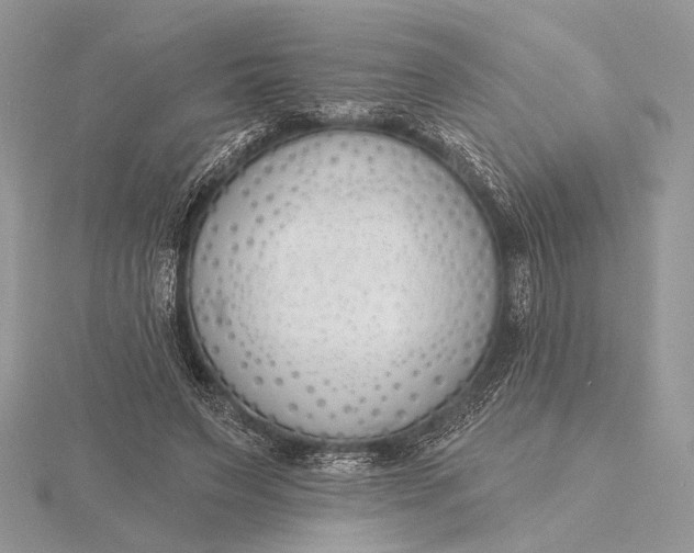 X0000116150495200912071307