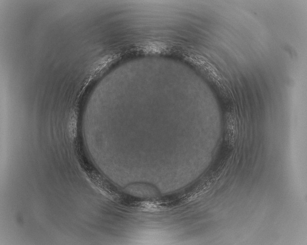 X0000116150496200912071307