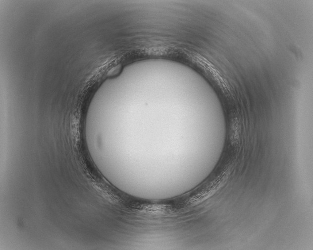 X0000116150497200912071307