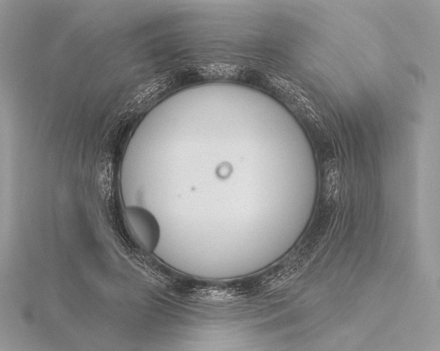 X0000116150498200912071307