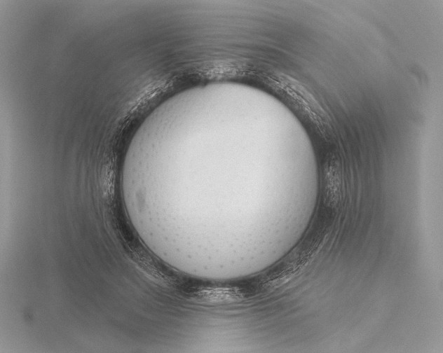 X0000116150499200912071307