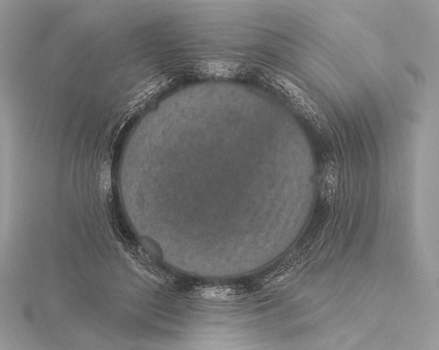 X0000116150500200912071307