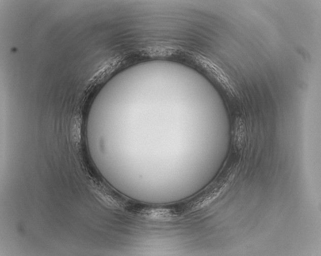 X0000116150501200912071307