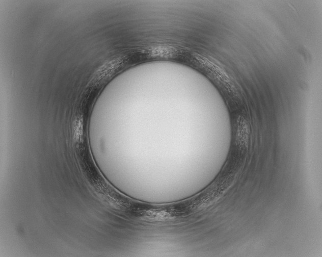 X0000116150502200912071307