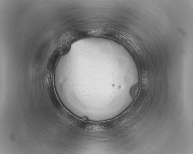 X0000116150503200912071307