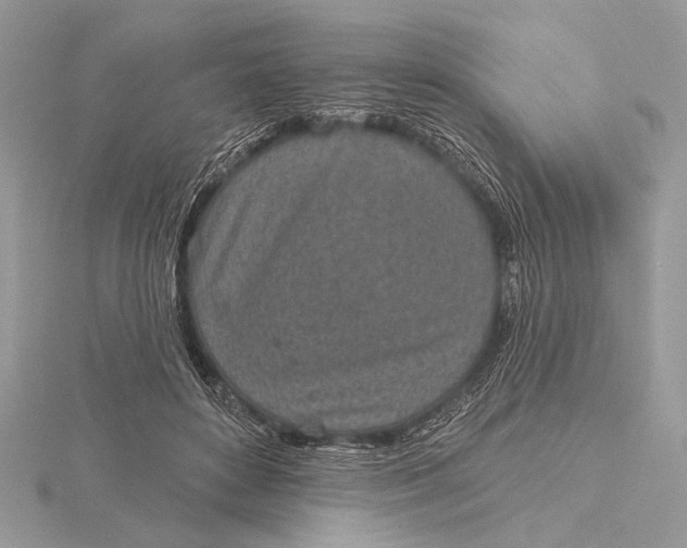 X0000116150504200912071307