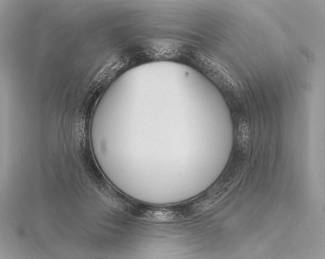 X0000116150506200912071307