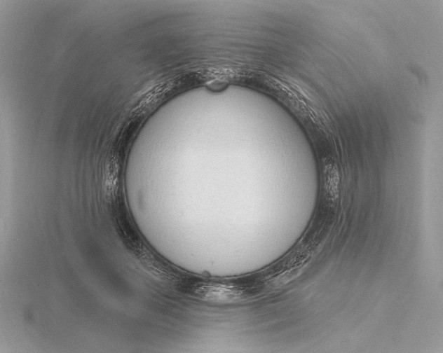 X0000116150507200912071307