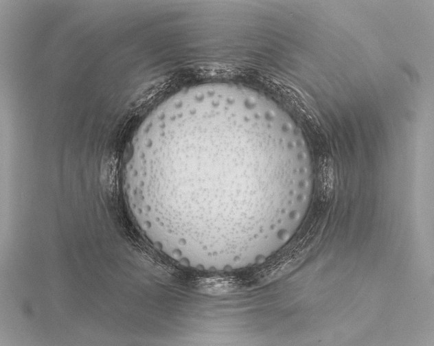 X0000116150511200912071307