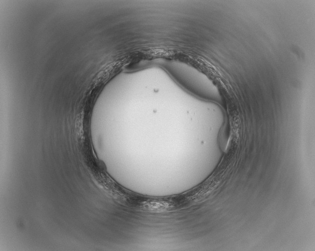 X0000116150512200912071307