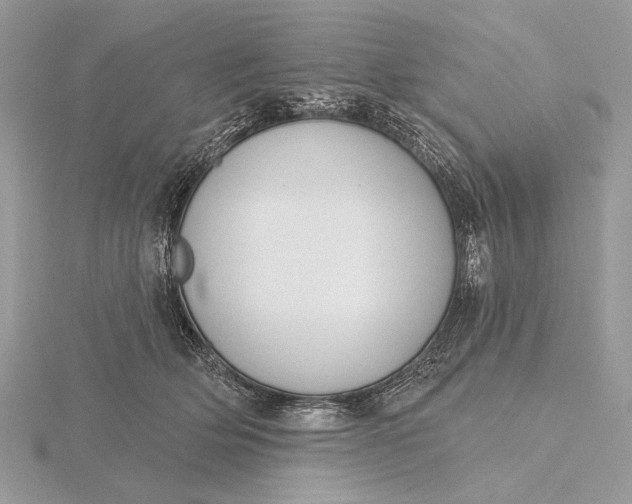 X0000116150514200912071307