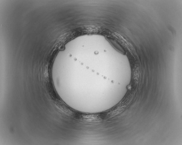 X0000116150516200912071307