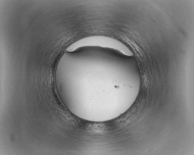 X0000116150517200912071307