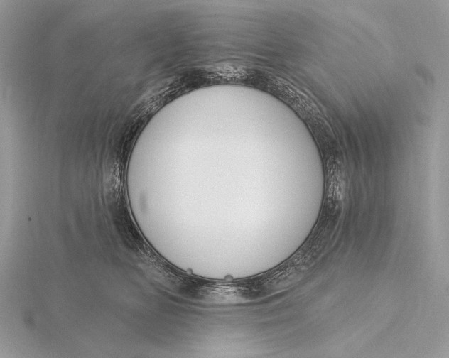 X0000116150518200912071307