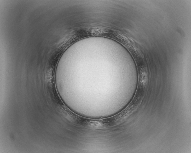 X0000116150519200912071307