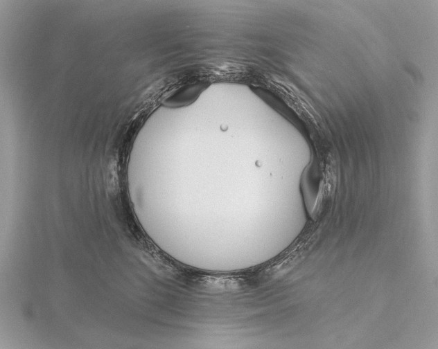 X0000116150520200912071307