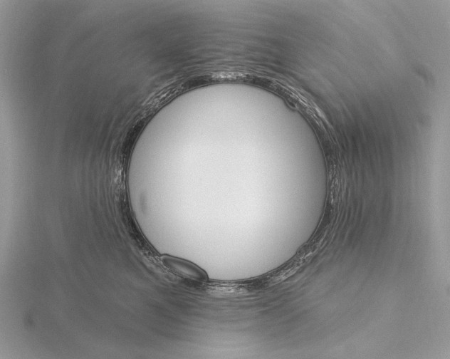 X0000116150521200912071307