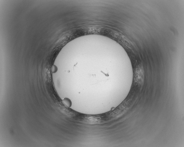 X0000116150522200912071307