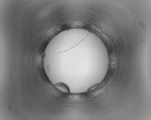 X0000116150523200912071307