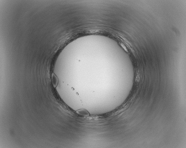 X0000116150524200912071306