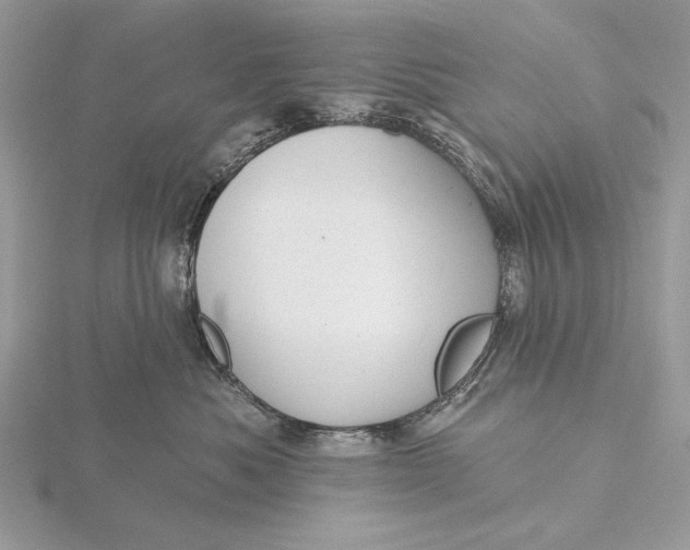 X0000116150525200912071306