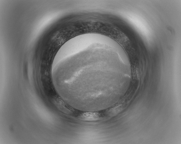 X0000116150526200912071306