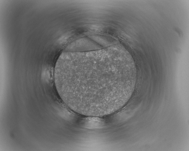 X0000116150528200912071306