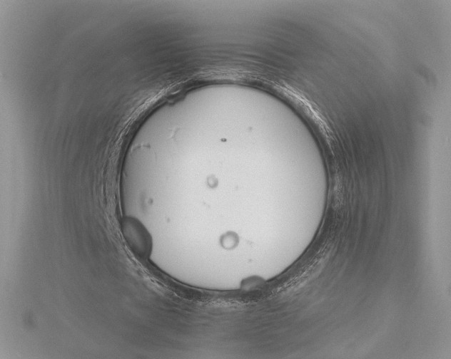 X0000116150529200912071306