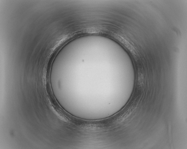 X0000116150530200912071306