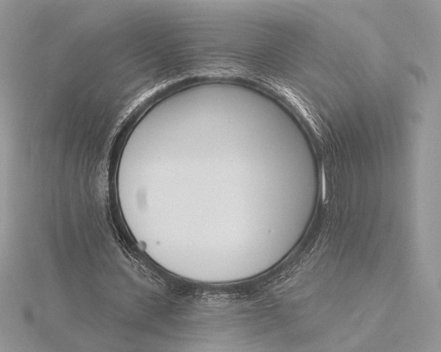 X0000116150531200912071306