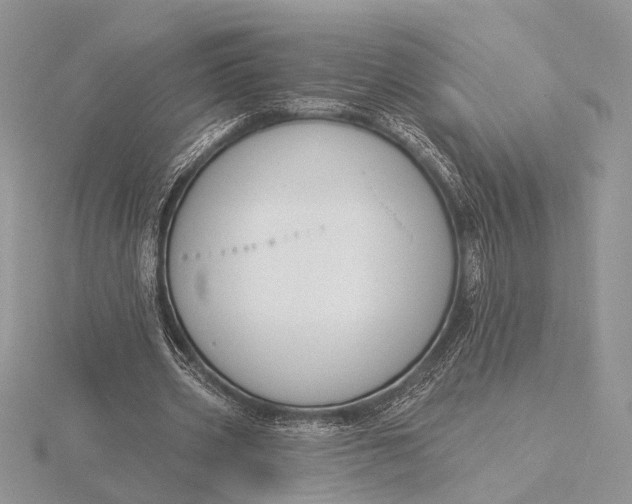 X0000116150533200912071306