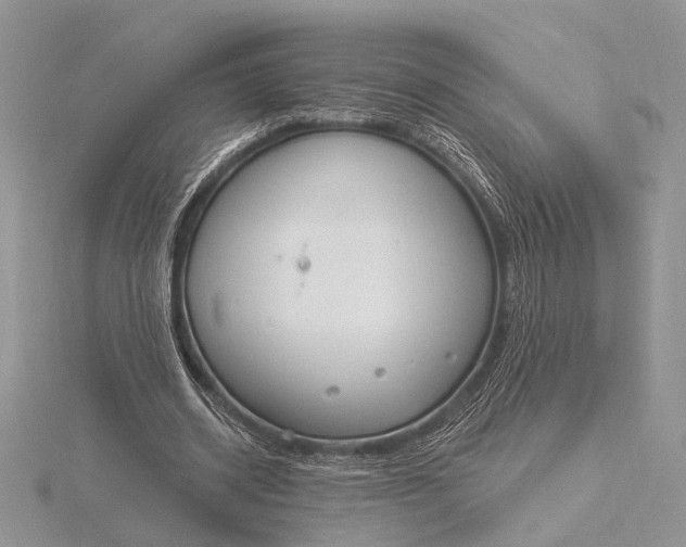 X0000116150534200912071306