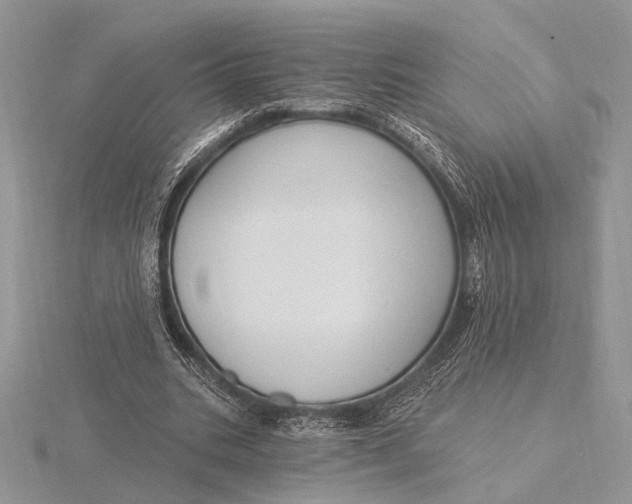 X0000116150535200912071306