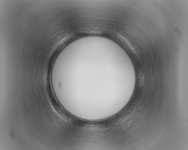 X0000116150538200912071306