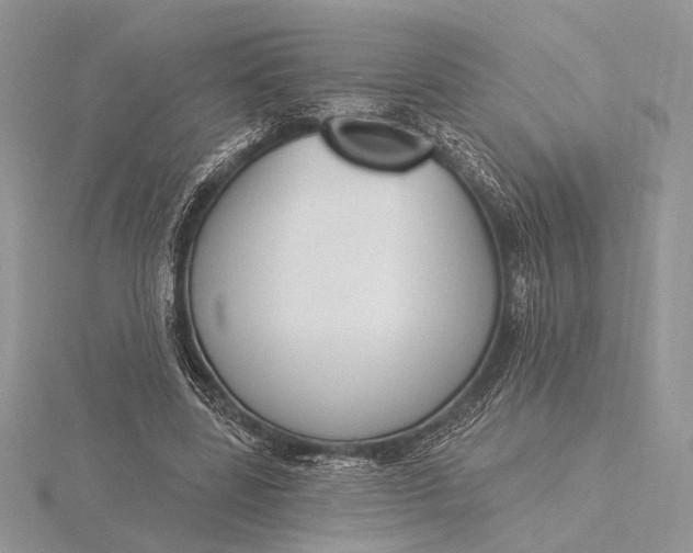 X0000116150539200912071306