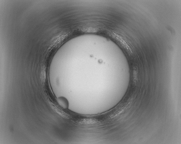 X0000116150541200912071306