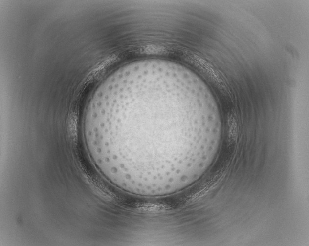 X0000116150542200912071306