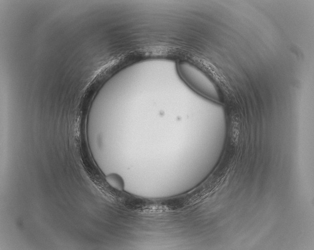 X0000116150543200912071306