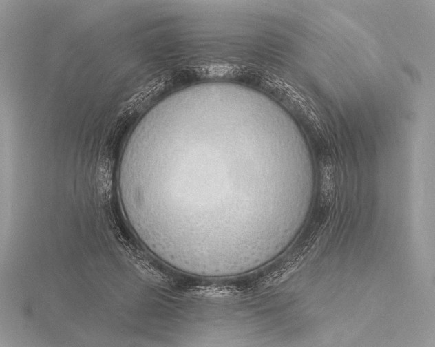 X0000116150545200912071306