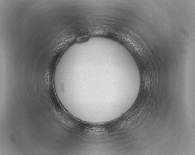 X0000116150546200912071306