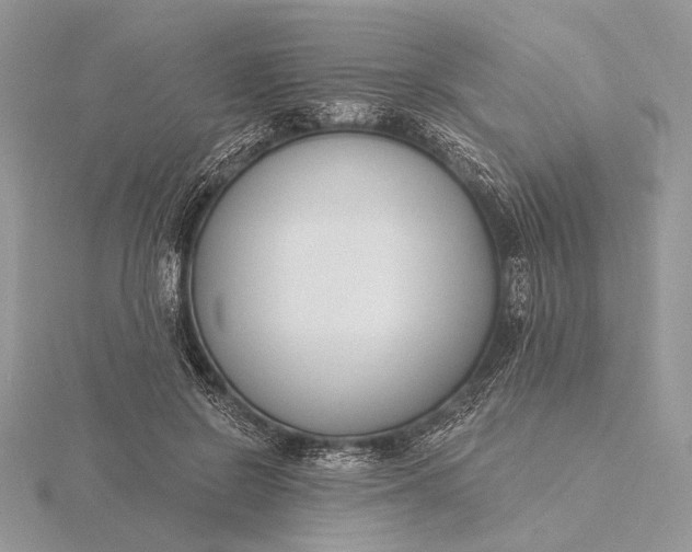 X0000116150550200912071306