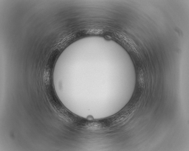 X0000116150551200912071306